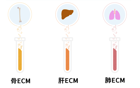 IN SITE™ Metastasis Kit                              ​转移性癌症/癌症药物研发的培养基质试剂盒