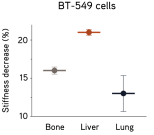 IN SITE™ Metastasis Kit                              ​转移性癌症/癌症药物研发的培养基质试剂盒