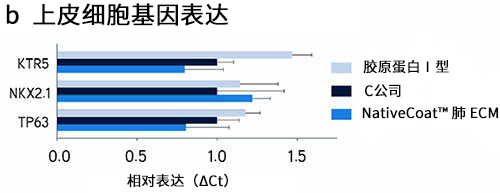 Xylyx NativeCoat™ ECM（2D）                              培养材料的涂层及培养基添加剂