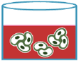 Xylyx TissueSpec™ ECM水凝胶（3D）                              近似体内环境的细胞培养模型