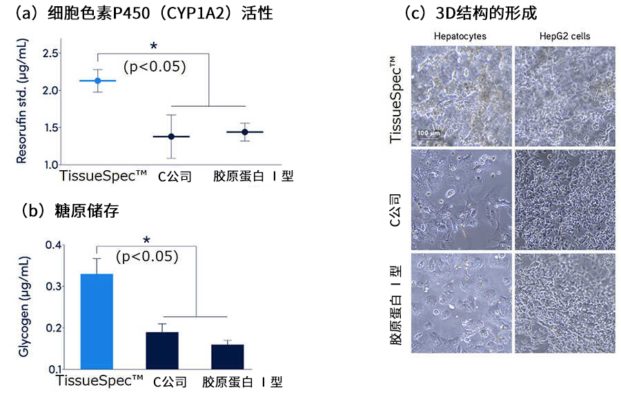 Xylyx TissueSpec™ ECM水凝胶（3D）                              近似体内环境的细胞培养模型