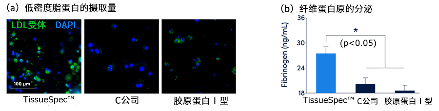 Xylyx TissueSpec™ ECM水凝胶（3D）                              近似体内环境的细胞培养模型