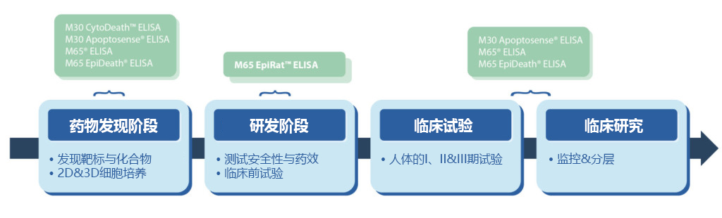 M65 EPIRAT™ ELISA                              PEVIVA 产品系列的新产品！