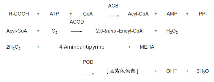 LabAssay™ NEFA                               LabAssay™ 游离脂肪酸检测试剂盒