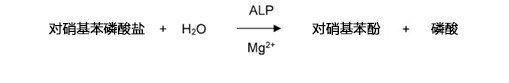 LabAssay™ ALP                              LabAssay™ 碱性磷酸酶检测试剂盒