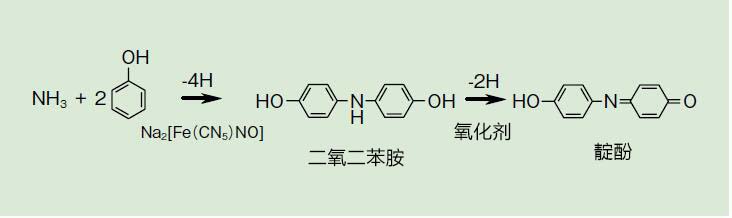 LabAssay™ Ammonia                              LabAssay™ 氨检测试剂盒