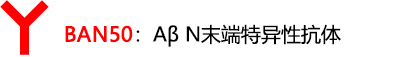 β-Amyloid ELISA 试剂盒                              β-Amyloid ELISA kit
