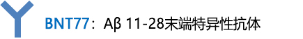β-Amyloid ELISA 试剂盒                              β-Amyloid ELISA kit
