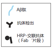 β-Amyloid ELISA 试剂盒                              β-Amyloid ELISA kit