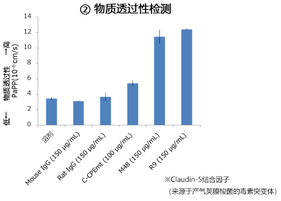 抗Claudin-5单克隆抗体                              Anti Claudin-5, Monoclonal Antibody