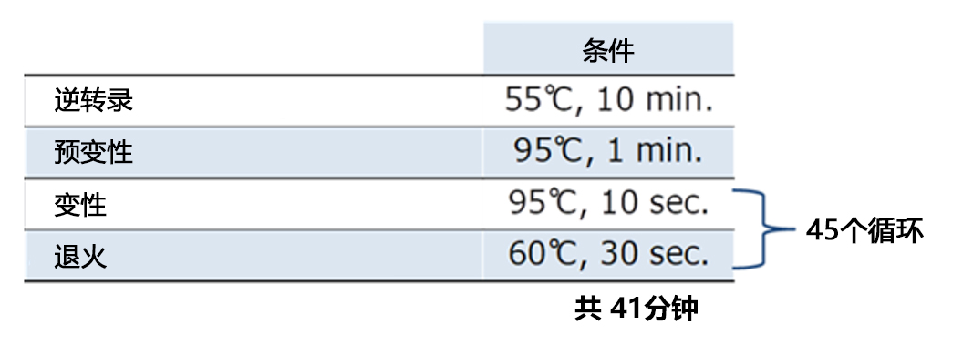 SARS-CoV-2 E484K Mutation Detection Kit                              SARS-CoV-2 E484K 突变检测试剂盒