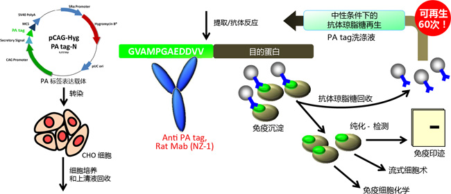 PA Tag 新型标签系统                              PA Tag