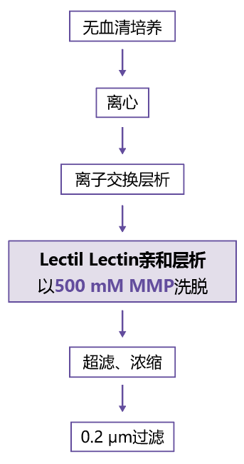 甲基α-D-吡喃甘露糖苷                              MMP（Methyl α-D-Mannopyranoside）