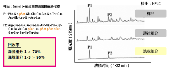 Phos-tag™ 琼脂糖枪头                              Phos-tag™ Tip