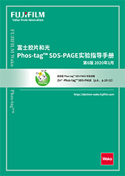 Phos-tag™ 琼脂糖枪头                              Phos-tag™ Tip