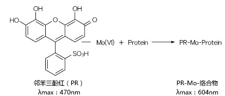 蛋白质快速测定试剂盒Wako II                              Protein Assay Rapid Kit Wako II