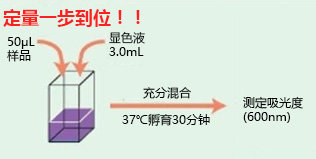 蛋白质快速测定试剂盒Wako II                              Protein Assay Rapid Kit Wako II