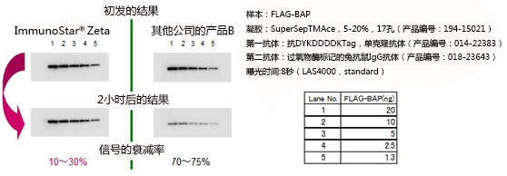 免疫印迹用化学发光试剂 ImmunoStar® 系列