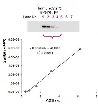 免疫印迹用化学发光试剂 ImmunoStar® 系列