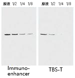 Immuno-enhancer                              仅需作为抗体稀释液即可起效！提高蛋白印迹和ELISA的检测灵敏度。