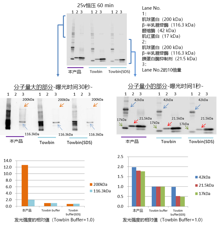 AquaBlot™ 10×High Efficiency Transfer Buffer                              高效转膜buffer