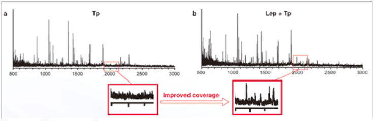 质谱级赖氨酰肽链内切酶                              Lysyl Endopeptidase®