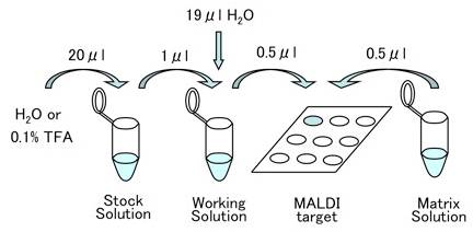 MALDI-MS 校准物