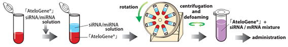 AteloGene® siRNA活体转染试剂盒                              AteloGene®  Quick Gelation