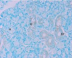 GenomONE® -Neo EX 仙台病毒包膜转染试剂                              GenomONE® -Neo EX HVJ-E  vials Transfection Reagents