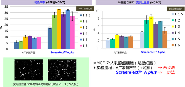 DNA & siRNA 转染试剂                              ScreenFect™ A plus