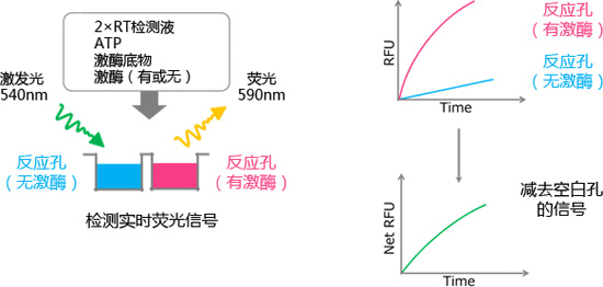 Fluorospark® 激酶/ADP 多重-检测试剂盒                               Fluorospark® Kinase/ADP Multi-Assay Kit