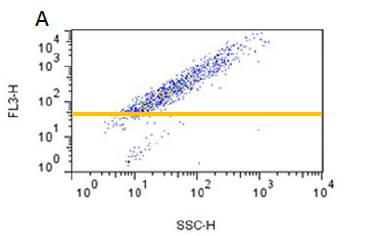 PROTEOSTAT® 蛋白聚集检测                              PROTEOSTAT® Protein aggregation assay