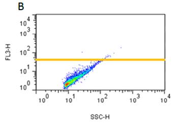 PROTEOSTAT® 蛋白聚集检测                              PROTEOSTAT® Protein aggregation assay