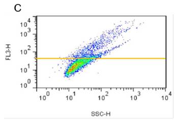PROTEOSTAT® 蛋白聚集检测                              PROTEOSTAT® Protein aggregation assay