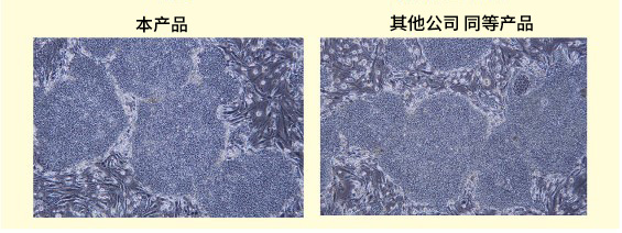 StemSure™ on-feeder hPSC培养基                              人ES/iPS细胞培养用液体培养基