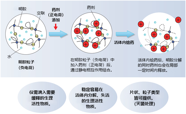 MedGel® Ⅱ系列