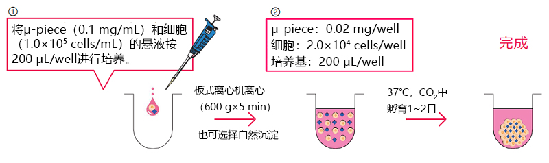 Cellnest μ-piece                              由人I型胶原蛋白重组多肽形成的新型细胞支架