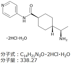 Y-27632                              人ES/iPS细胞培养用