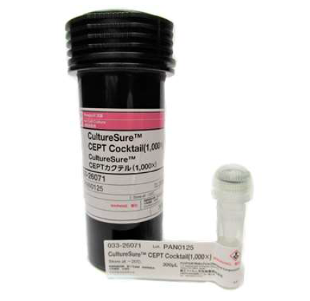CultureSure™ CEPT Cocktail(1,000×)                              进一步发展干细胞研究
