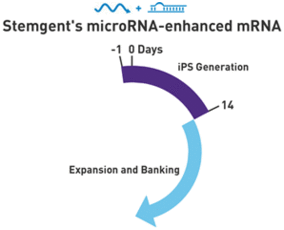 microRNA 增强试剂盒                              microRNA Booster Kit