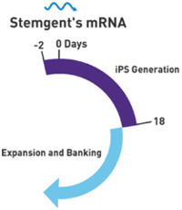 microRNA 增强试剂盒                              microRNA Booster Kit