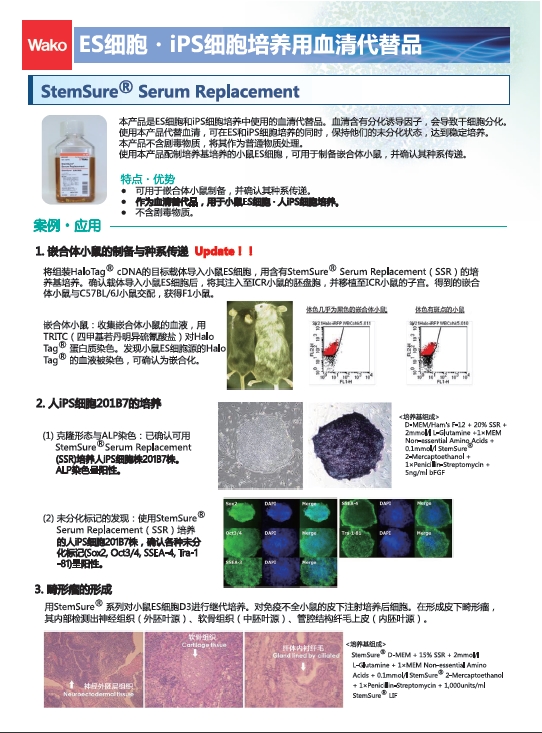ES细胞・iPS细胞培养用血清代替品                              StemSure® Serum Replacement