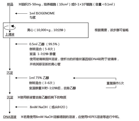 ISOGENOME                              DNA提取试剂