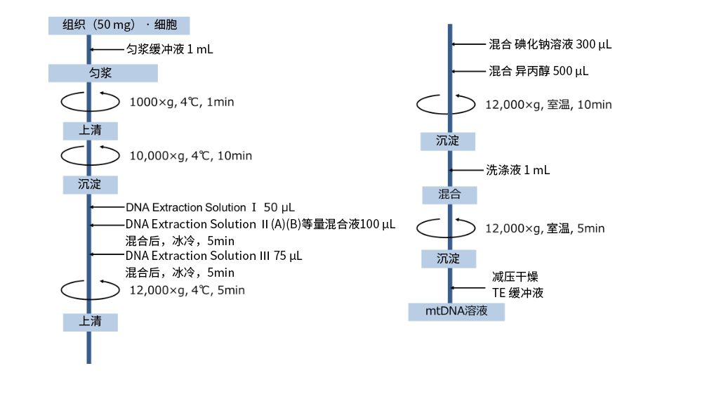 mtDNA Extractor® CT Kit                              提取组织 · 细胞 · 复合饲料中的线粒体DNA