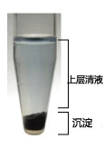 ISOGEN II                              总RNA及小RNA提取试剂