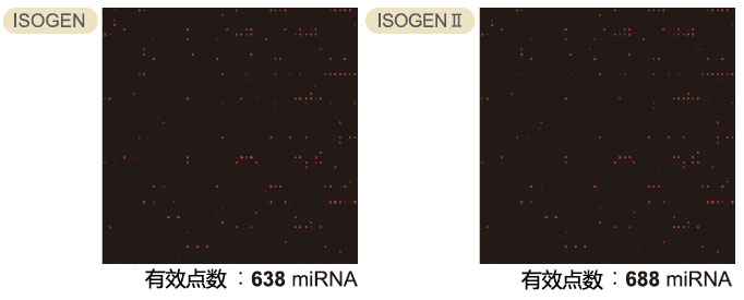 ISOGEN II                              总RNA及小RNA提取试剂