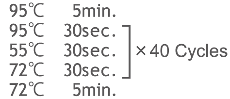 ISOGEN II                              总RNA及小RNA提取试剂