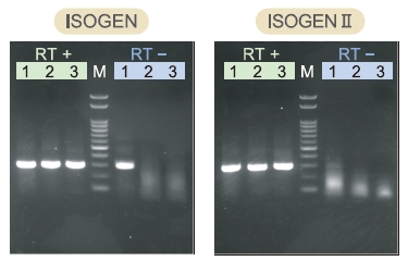 ISOGEN II                              总RNA及小RNA提取试剂