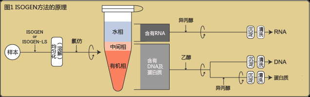 ISOGEN、ISOGEN-LS                              RNA提取试剂