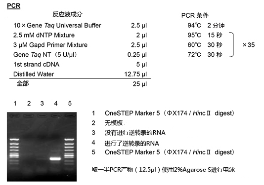 石蜡包埋组织切片RNA提取试剂盒                              ISOGEN PB Kit